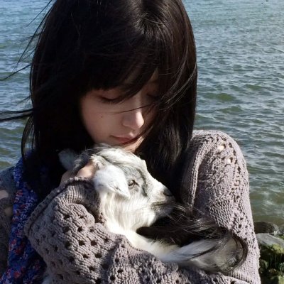 浴血玫瑰